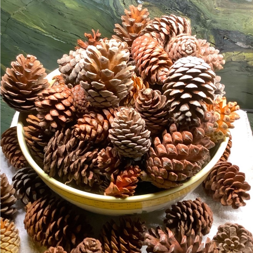 Cinnamon Apple Scented Pinecones From My Farm Organic - Picture 4 of 10
